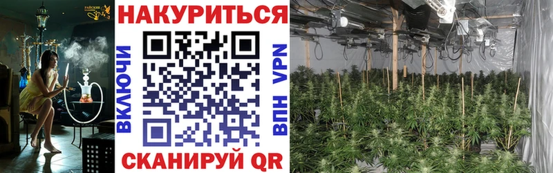 Купить закладку Заполярный Кокаин  A PVP  АМФЕТАМИН  Мефедрон  Канабис 