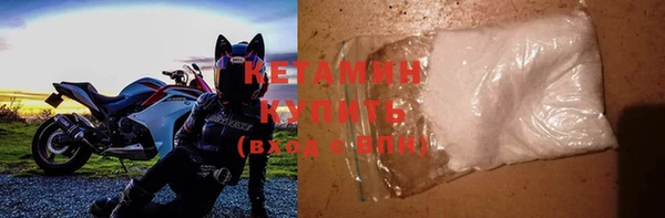 шишки Новокубанск