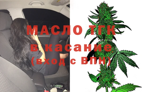 гидра Новозыбков