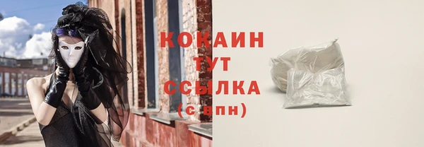 меф Новодвинск