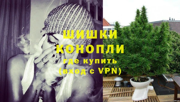 гидра Новозыбков